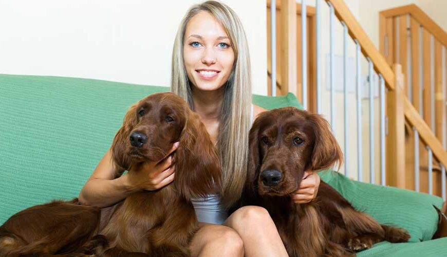 Top UK Psychic Pet Specialists Online